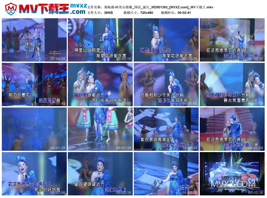 郑海燕-阿里山情歌_国语_流行_MD501393